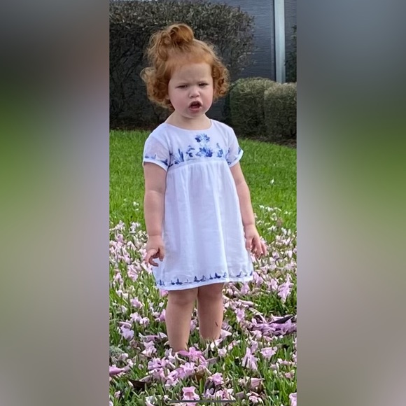 100% Roller Rabbit cotton white dress with blue embroidered flowers - Picture 11 of 12